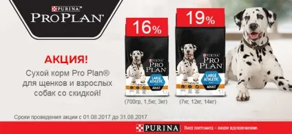 Інтернет зоомагазин товарів для собак, кішок та інших домашніх вихованців (кішок) Інтернет зоомагазин товарів для собак, кішок та інших домашніх вихованців