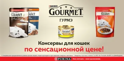Інтернет зоомагазин товарів для собак, кішок та інших домашніх вихованців (товарів) Інтернет зоомагазин товарів для собак, кішок та інших домашніх вихованців