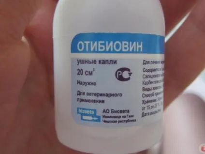Інструкція по застосуванню вушних крапель отібіовін для собак і кішок дозування, схема лікування (отібіовін) Інструкція по застосуванню вушних крапель отібіовін для собак і кішок дозування, схема лікування