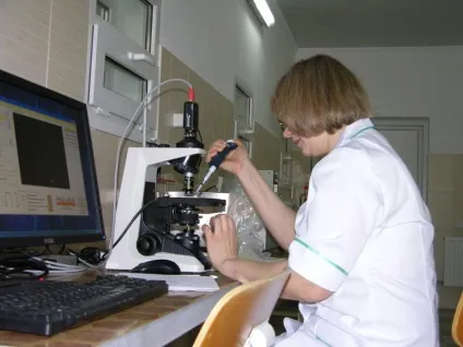 Штучне запліднення свиней тонкощі процесу (свиней) Штучне запліднення свиней тонкощі процесу