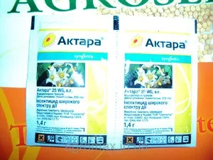 Як боротися і позбавлятися від комахи-шкідника капустянки, огляд ефективних препаратів (позбавлятися) Як боротися і позбавлятися від комахи-шкідника капустянки, огляд ефективних препаратів