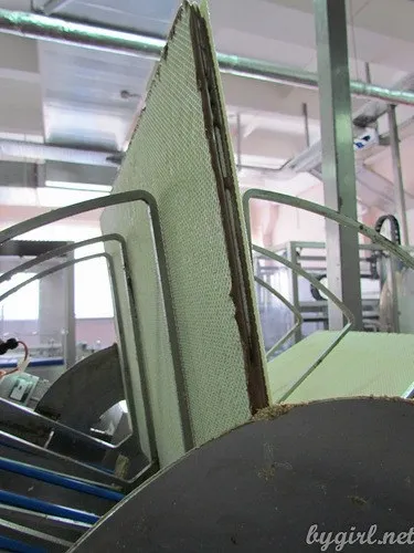 Як роблять справжні шоколадні цукерки, дівчина, яка живе в мережі (роблять) Як роблять справжні шоколадні цукерки, дівчина, яка живе в мережі