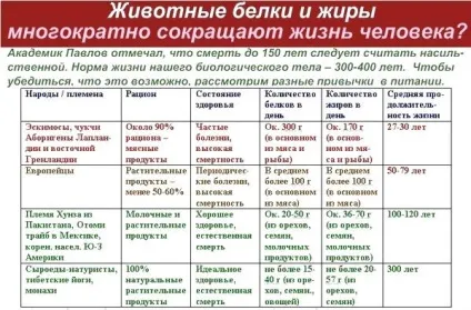 Як білки тварини можна замінити на рослинні, народні знання від кравченко Анатолія
