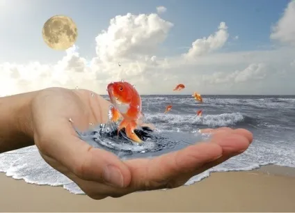 Як домогтися виконання бажань