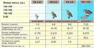 Як і чим годувати новонароджених перепелів з інкубатора (грам корму добу) Як і чим годувати новонароджених перепелів з інкубатора