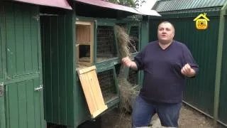 Якими овочами і фруктами можна годувати кролика (фруктами) Якими овочами і фруктами можна годувати кролика