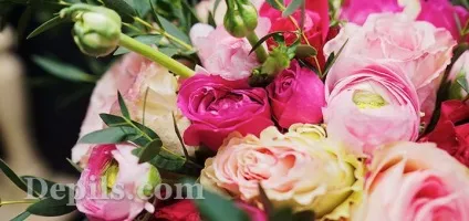 Які квіти подарувати дівчині - depils блог (подарувати) Які квіти подарувати дівчині - depils блог