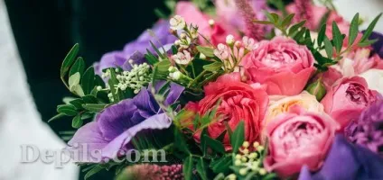 Які квіти подарувати дівчині - depils блог (подарувати) Які квіти подарувати дівчині - depils блог