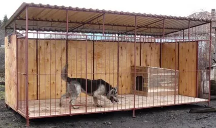 Як і з чого побудувати вольєр для собаки