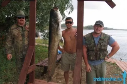 Як і чим ловити сома на Ахтубе - рибалка на Ахтубе з комфортом - рибальська база трёхречье (Ахтубе) Як і чим ловити сома на Ахтубе - рибалка на Ахтубе з комфортом - рибальська база трёхречье