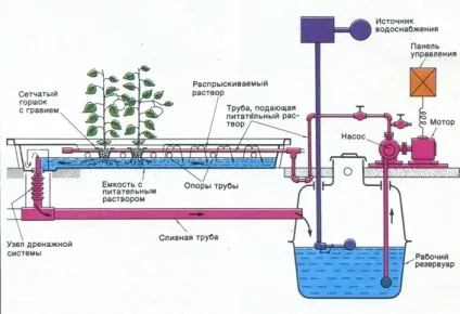 Як і чим удобрювати гідропоніку, технології вирощування