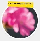 Секрети глибини різкості