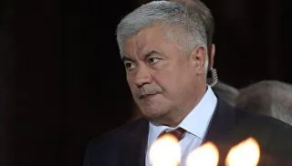 Збитий в Балашисі хлопчик був п'яний, підтвердила повторна експертиза - ріа новини