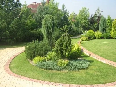 З чого почати озеленення і благоустрій дачної ділянки, біля будинку (клумби і газони) З чого почати озеленення і благоустрій дачної ділянки, біля будинку