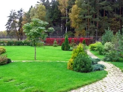 З чого почати озеленення і благоустрій дачної ділянки, біля будинку (клумби і газони) З чого почати озеленення і благоустрій дачної ділянки, біля будинку