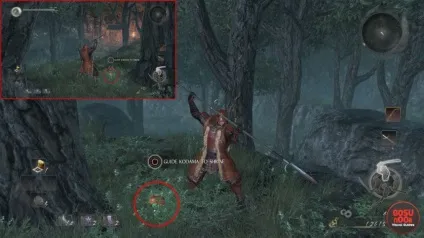 Секрети і гайди nioh все про Кодама - як знайти і зібрати всіх духів (духів) Секрети і гайди nioh все про Кодама - як знайти і зібрати всіх духів