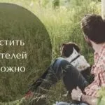 Як колесо балансу змінило моє життя, наталия Гуринович, коуч по відносинам (колесо балансу) Як колесо балансу змінило моє життя, наталия Гуринович, коуч по відносинам