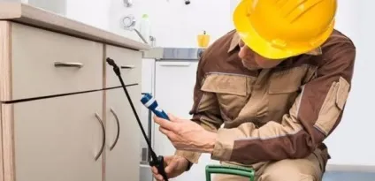 Як позбутися від тарганів в квартирі 4 народних і 3 види покупних кошти (виду) Як позбутися від тарганів в квартирі 4 народних і 3 види покупних кошти