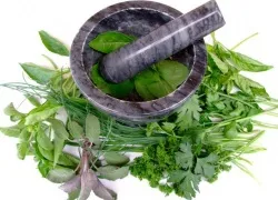 Як лікувати виразку шлунка (Лікування виразки шлунка) Як лікувати виразку шлунка