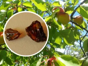 Як лікувати грибок на ногах в домашніх умовах за допомогою аптечних і народних засобів, грибкові (лікувати) Як лікувати грибок на ногах в домашніх умовах за допомогою аптечних і народних засобів, грибкові