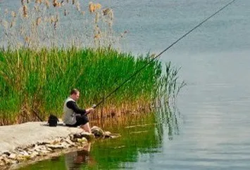 Як ловити на вудку з дрібного берега (мілини пологого берега) Як ловити на вудку з дрібного берега