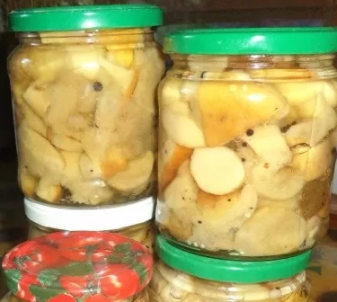 Як маринувати гриби на зиму в банках простий рецепт, devchatt (гриби) Як маринувати гриби на зиму в банках простий рецепт, devchatt