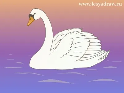 Як намалювати лебедя олівцем поетапно (поетапно) Як намалювати лебедя олівцем поетапно