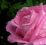 Як навчитися вести себе в різних ситуаціях (навчитися) Як навчитися вести себе в різних ситуаціях