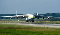 Як називається найбільший вид пінгвінів (пінгвінів) Як називається найбільший вид пінгвінів