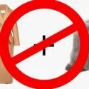 Як одягнутися в спеку, щоб не потіти (перевага) Як одягнутися в спеку, щоб не потіти