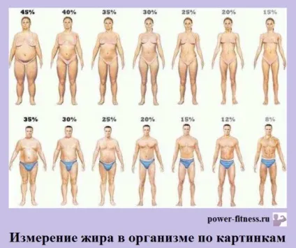 Як визначити відсоток жиру в організмі (Натисніть зображенні збільшення) Як визначити відсоток жиру в організмі