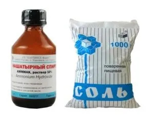 Як відіпрати чорницю 8 методів виведення плям (плям) Як відіпрати чорницю 8 методів виведення плям