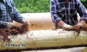 Який мох краще для зрубу сфагнум або кукушкин льон - переваги і недоліки (який) Який мох краще для зрубу сфагнум або кукушкин льон - переваги і недоліки
