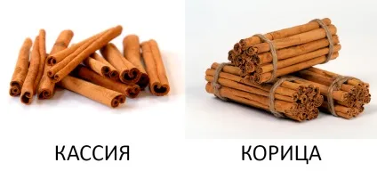 Як відрізнити справжню корицю від фальшивої редакторська колонка - здорове харчування (корицю) Як відрізнити справжню корицю від фальшивої редакторська колонка - здорове харчування