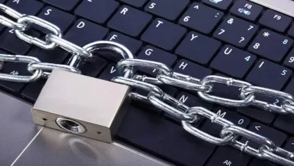 Як відучити кішку розгулювати по клавіатурі (відучити) Як відучити кішку розгулювати по клавіатурі