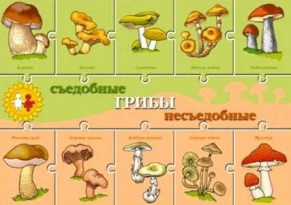 Як відрізнити їстівний гриб від неїстівного (гриб) Як відрізнити їстівний гриб від неїстівного