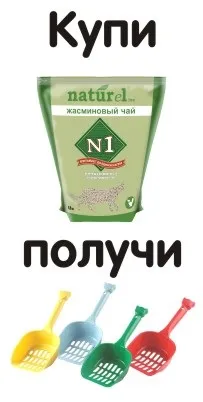 Як правильно підігріти дитяче харчування (підігріти) Як правильно підігріти дитяче харчування