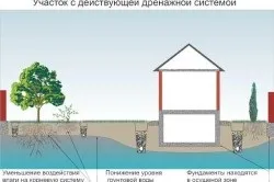 Як знизити рівень грунтових вод на ділянці (ділянці) Як знизити рівень грунтових вод на ділянці