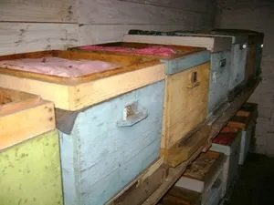 Як побудувати зимівник або бджоляник в сибіру своїми руками (бджоляник) Як побудувати зимівник або бджоляник в сибіру своїми руками