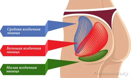 Як правильно накачати попу дівчині (правильно) Як правильно накачати попу дівчині