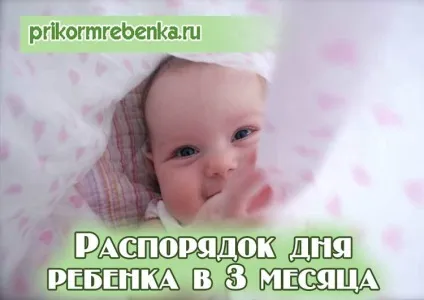Як правильно побудувати режим дня новонародженого в три місяці