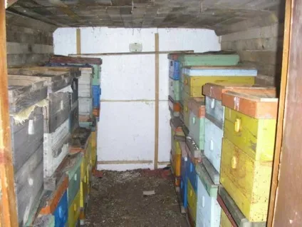 Як побудувати зимівник або бджоляник в сибіру своїми руками (сибіру) Як побудувати зимівник або бджоляник в сибіру своїми руками