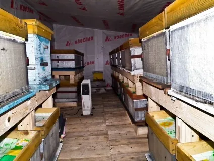 Як побудувати зимівник або бджоляник в сибіру своїми руками (зимівник) Як побудувати зимівник або бджоляник в сибіру своїми руками