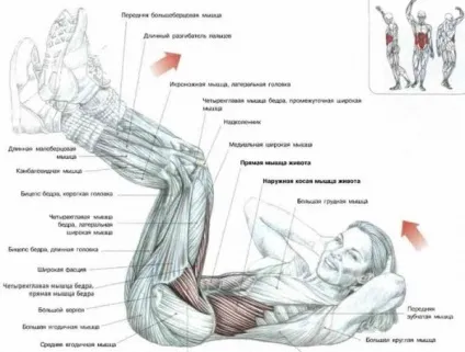 Як правильно качати прес дівчатам