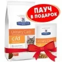 Як привчити кішку до автомобіля, статті про кішок (кішках) Як привчити кішку до автомобіля, статті про кішок