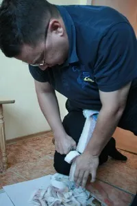 Як правильно вибрати і приготувати строганину - кухні народів світу оригінальні рецепти, рибальське (національна кухня) Як правильно вибрати і приготувати строганину - кухні народів світу оригінальні рецепти, рибальське