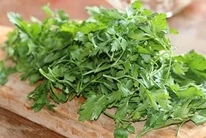 Як правильно зберігати зелень в холодильнику (зберігання цибулі) Як правильно зберігати зелень в холодильнику