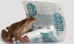 Як залучити гроші в будинок народні прикмети, опис (залучити) Як залучити гроші в будинок народні прикмети, опис