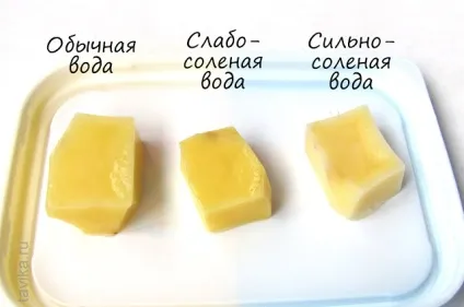 Як рослини п'ють досліди з рослинами (рослини п'ють воду) Як рослини п'ють досліди з рослинами