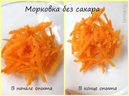 Як рослини п'ють досліди з рослинами (рослини п'ють воду) Як рослини п'ють досліди з рослинами